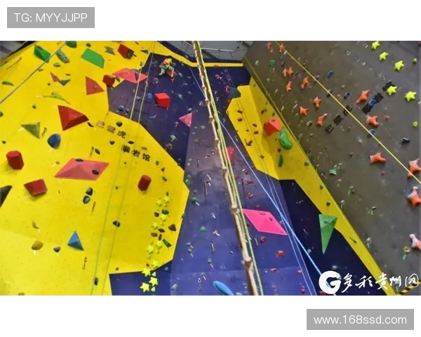 南京攀岩队比赛经验引发热议专家与选手观点大碰撞